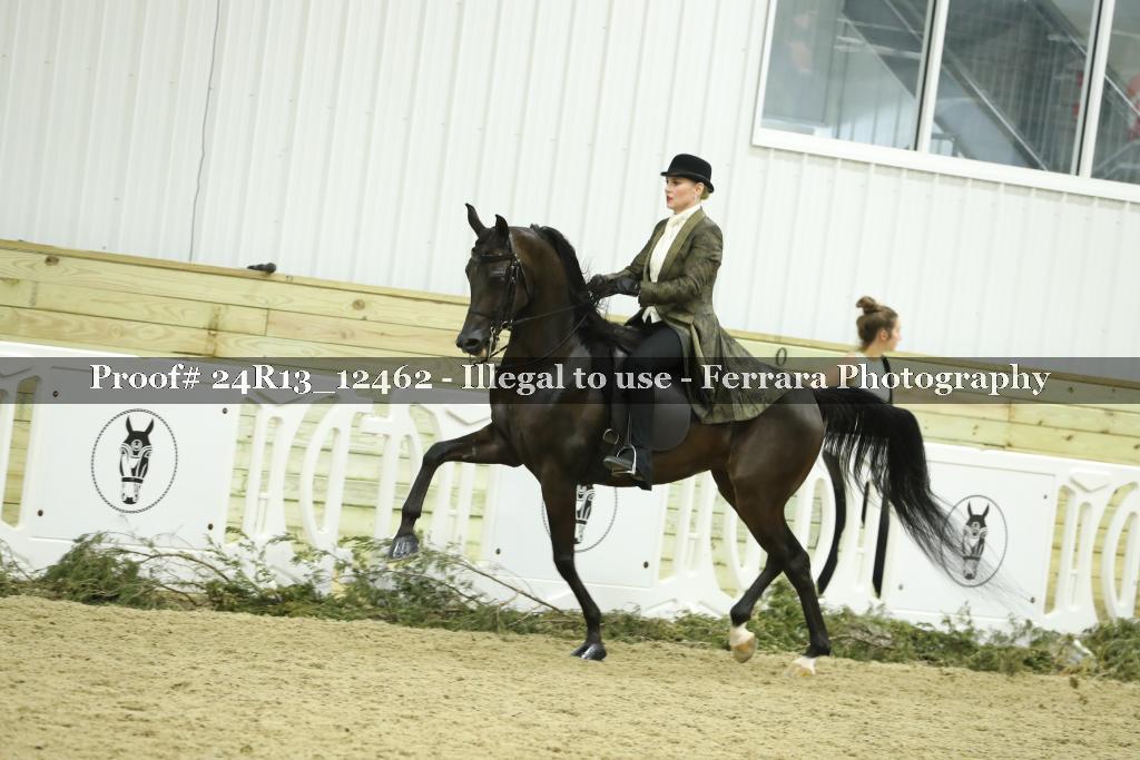 Proof 24R13_12462