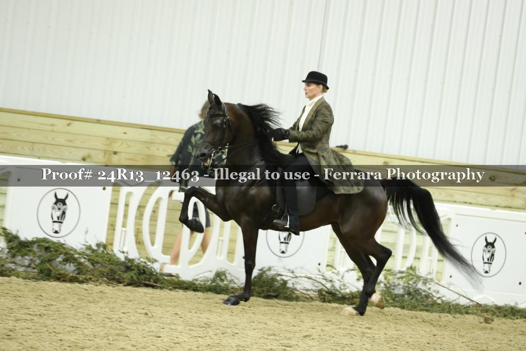 Proof 24R13_12463