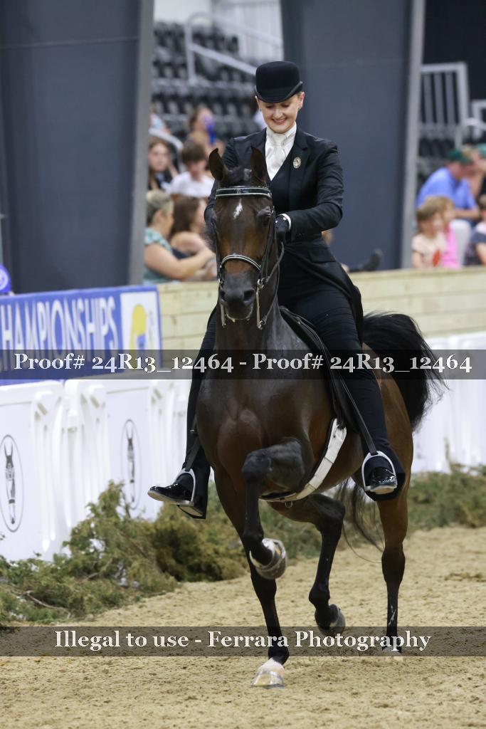 Proof 24R13_12464