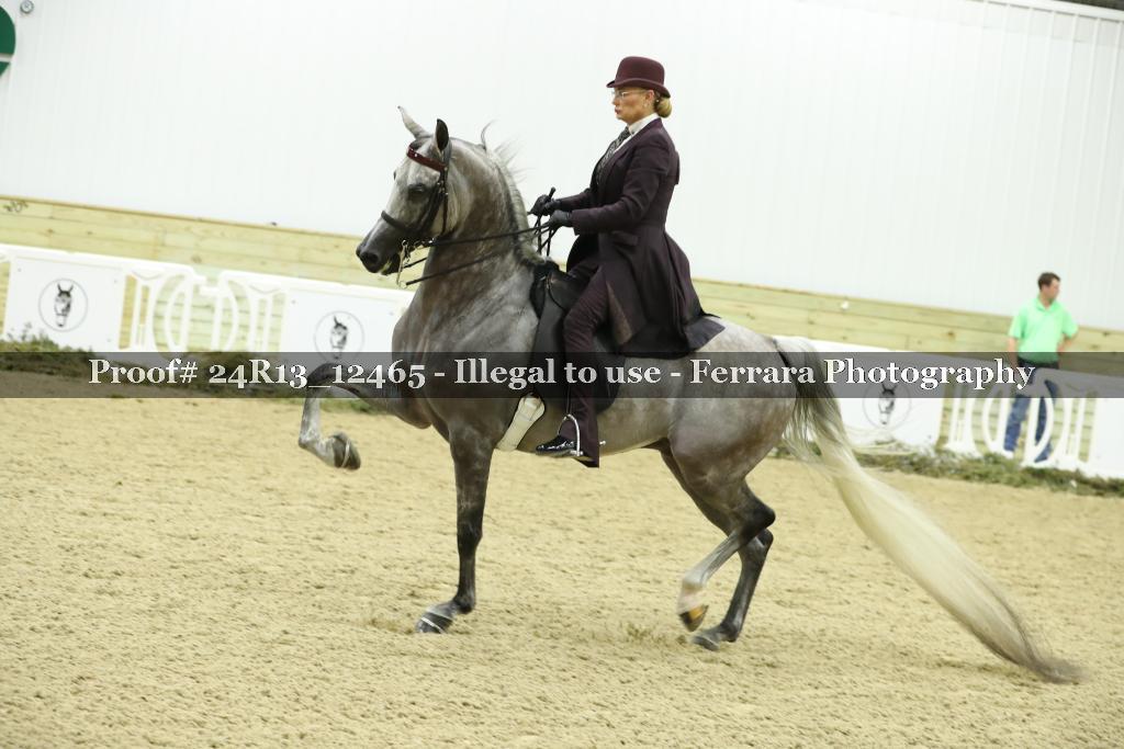 Proof 24R13_12465