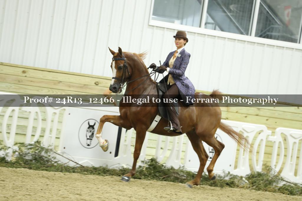 Proof 24R13_12466
