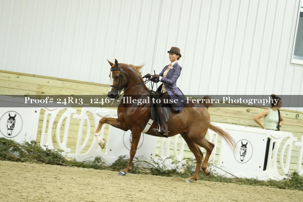 Proof 24R13_12467