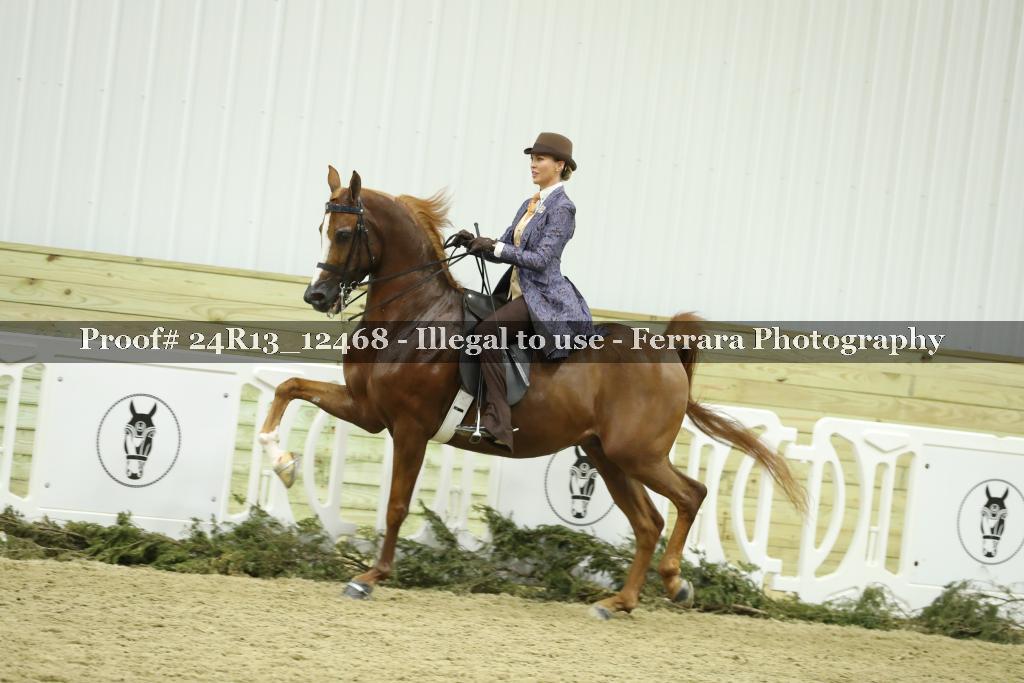 Proof 24R13_12468