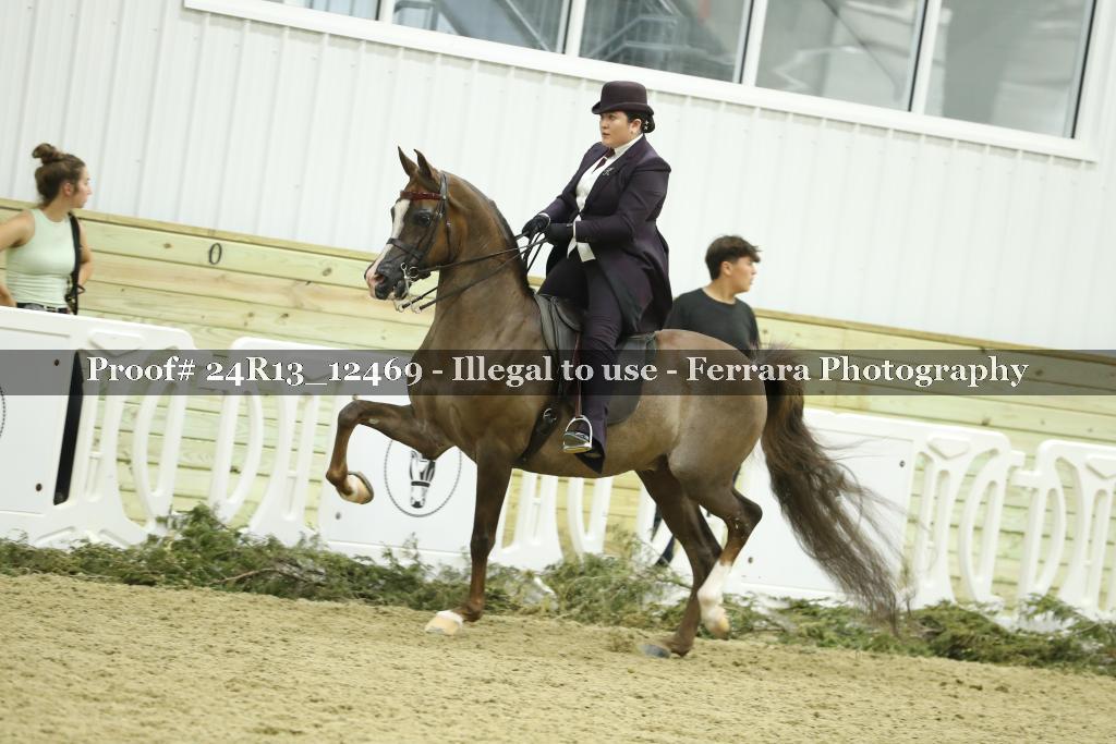 Proof 24R13_12469