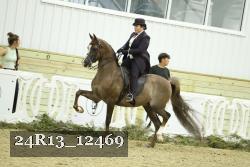 24R13_12469 proof