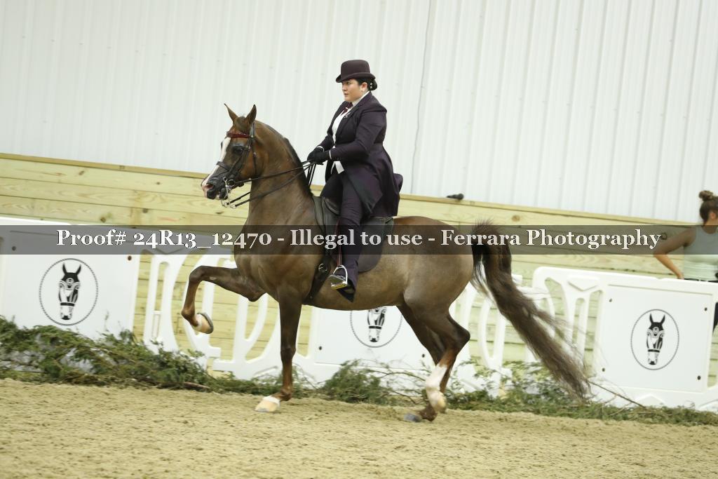 Proof 24R13_12470