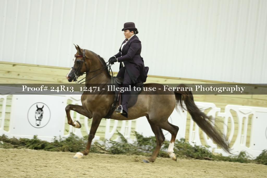 Proof 24R13_12471