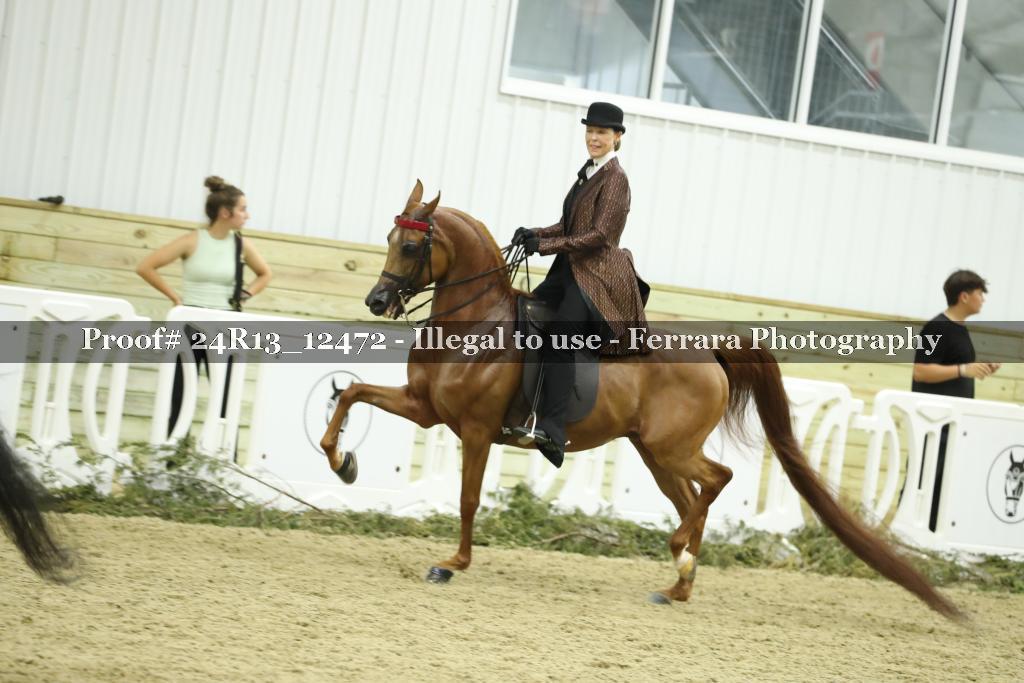 Proof 24R13_12472