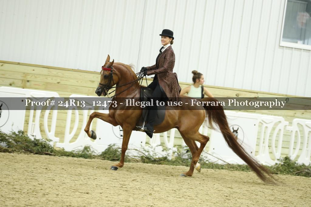 Proof 24R13_12473