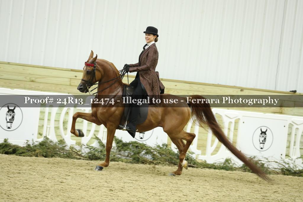 Proof 24R13_12474
