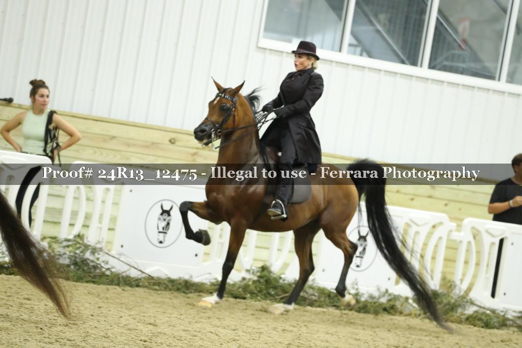 Proof 24R13_12475