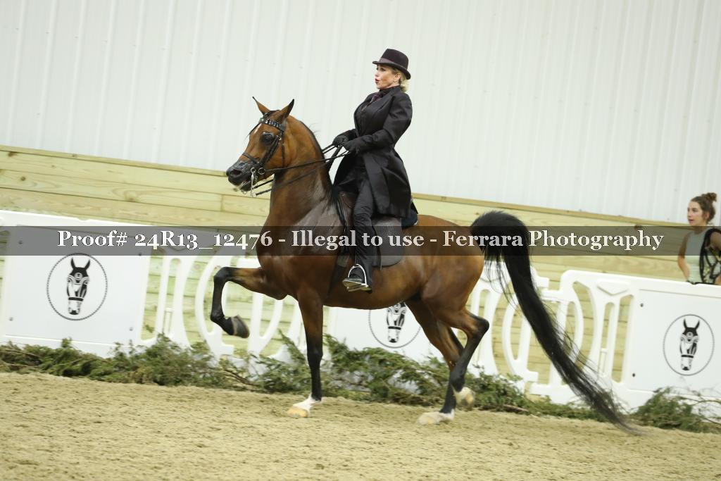 Proof 24R13_12476