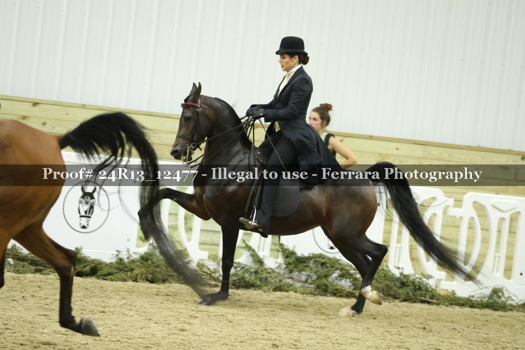 Proof 24R13_12477