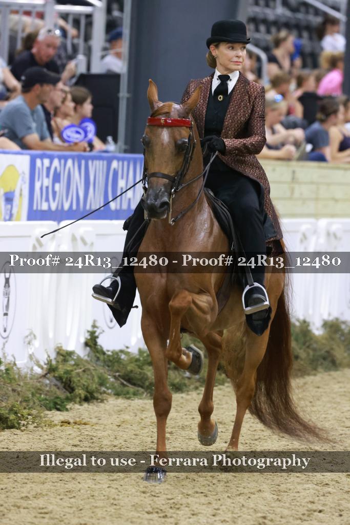 Proof 24R13_12480