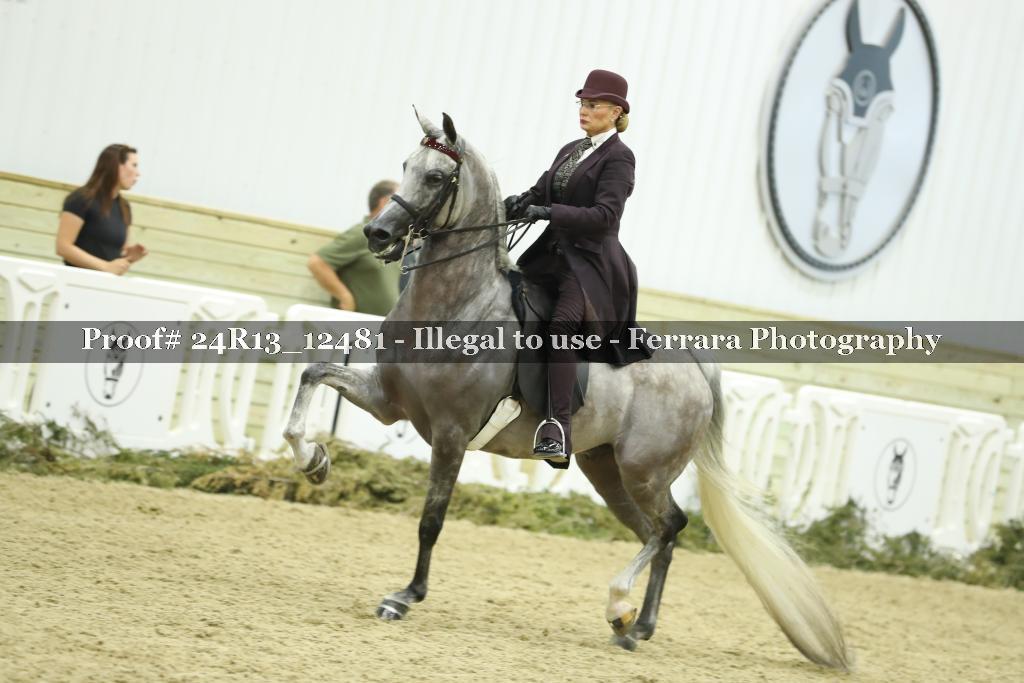 Proof 24R13_12481