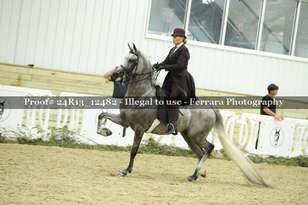 Proof 24R13_12482