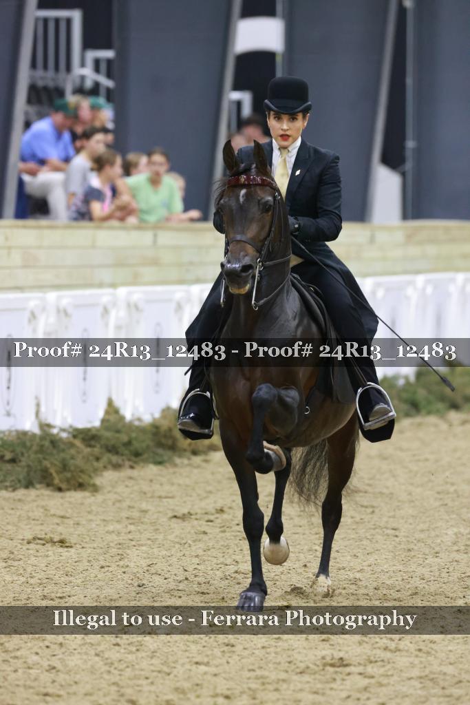 Proof 24R13_12483