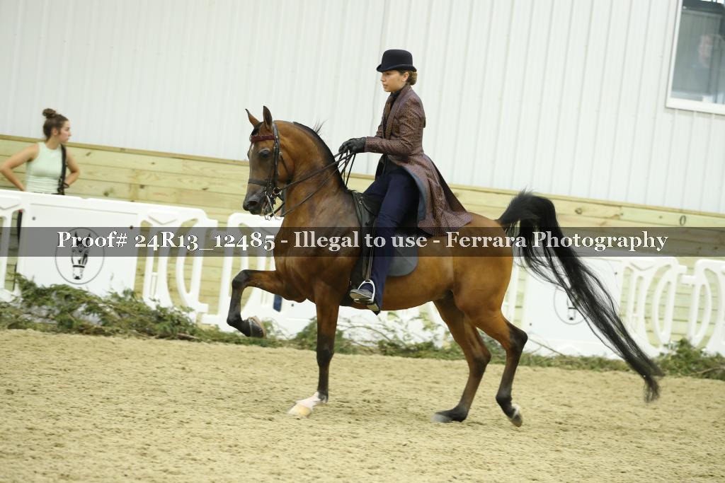 Proof 24R13_12485