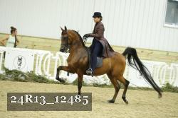 24R13_12485 proof