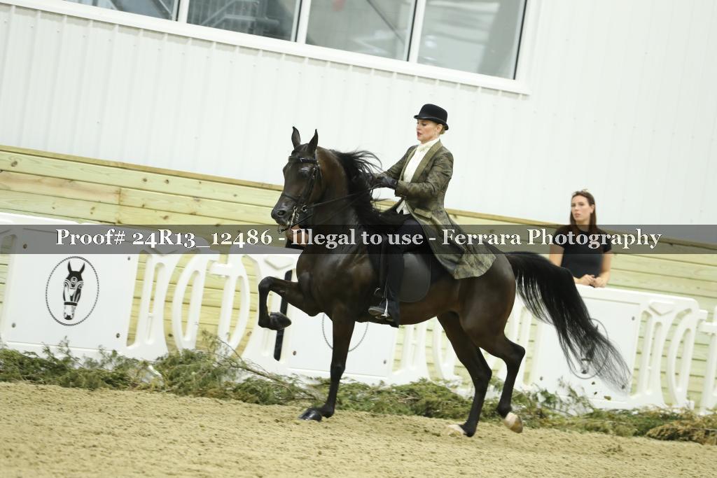 Proof 24R13_12486