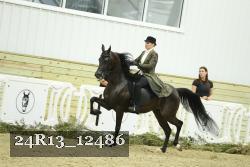 24R13_12486 proof