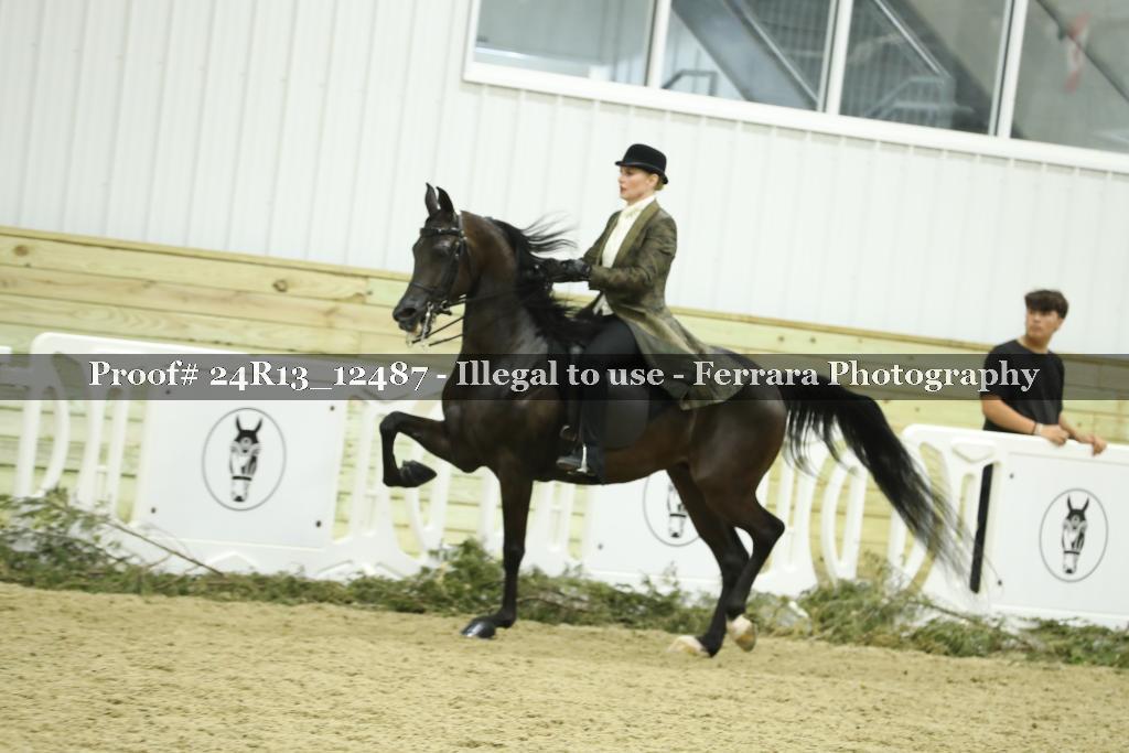 Proof 24R13_12487
