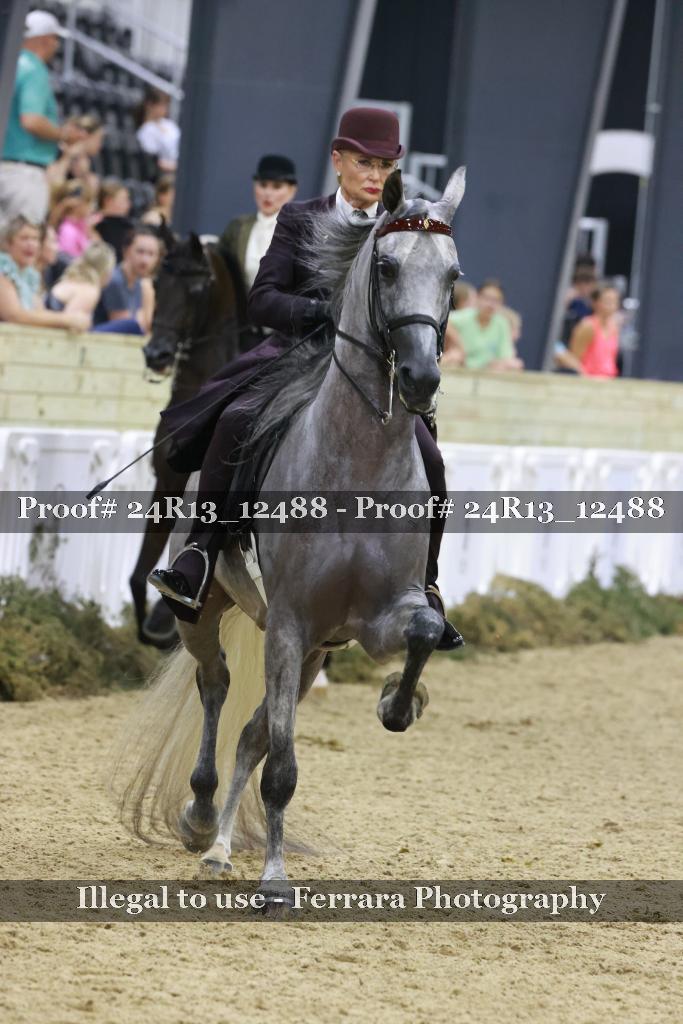 Proof 24R13_12488