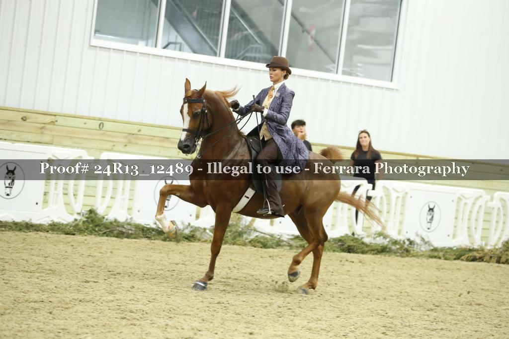 Proof 24R13_12489