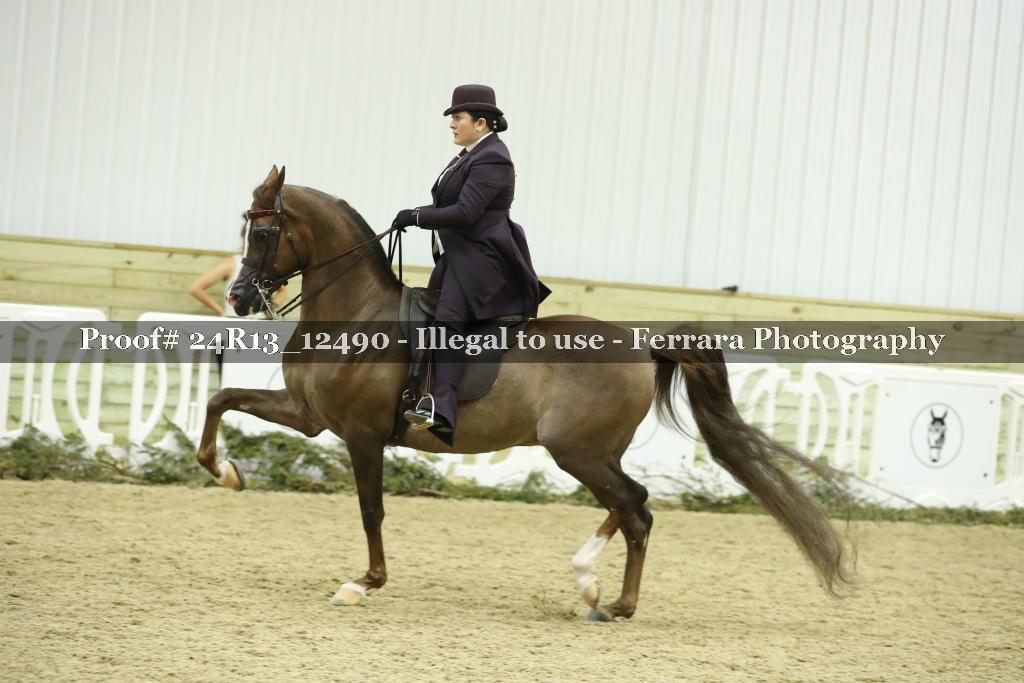 Proof 24R13_12490