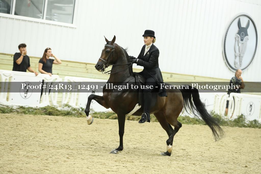 Proof 24R13_12491