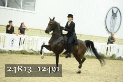 24R13_12491 proof