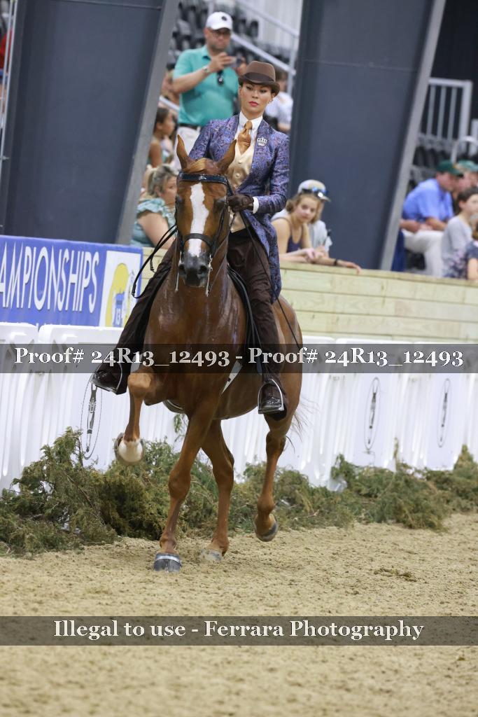 Proof 24R13_12493