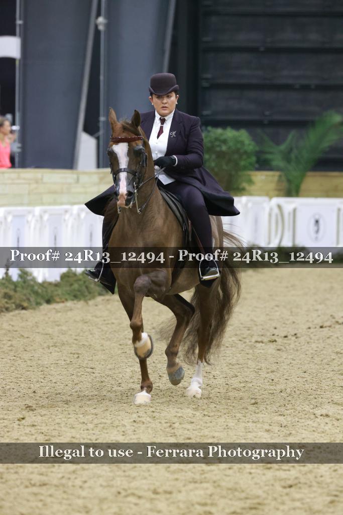Proof 24R13_12494
