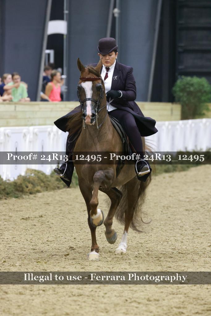Proof 24R13_12495