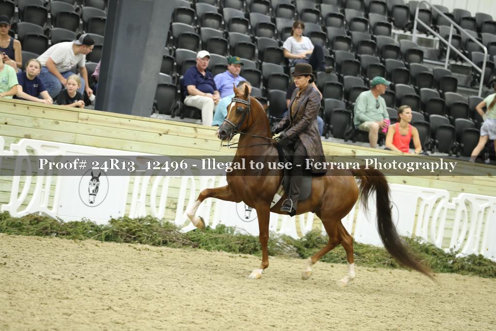 Proof 24R13_12496