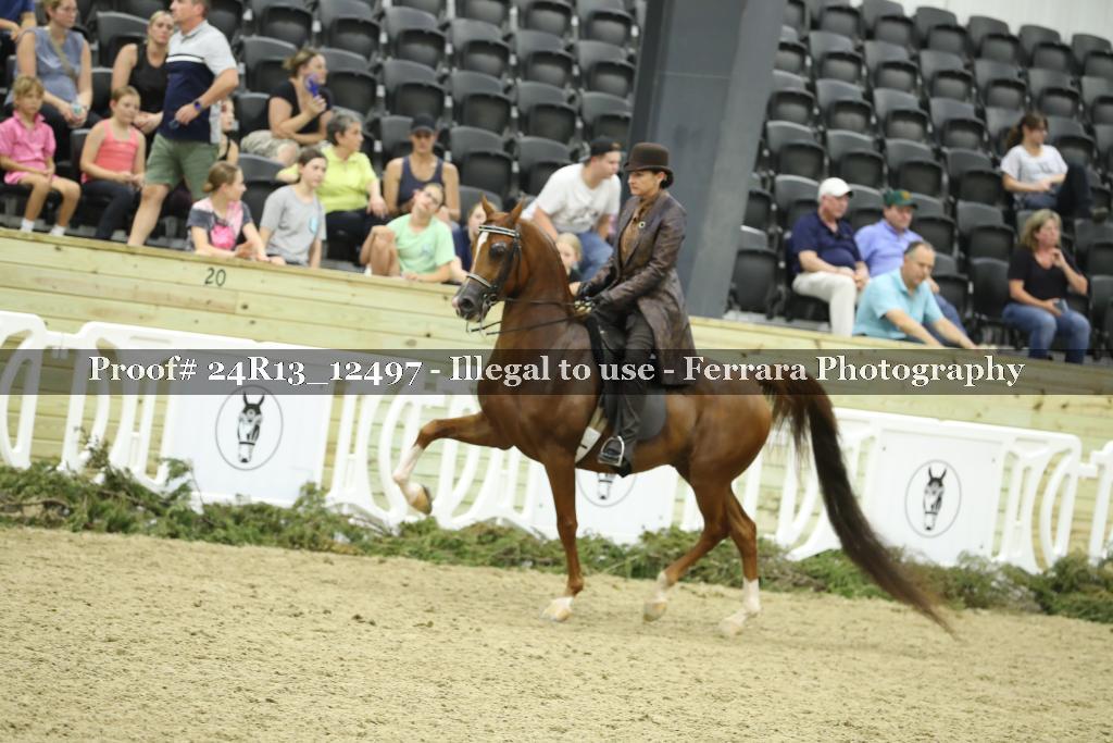 Proof 24R13_12497