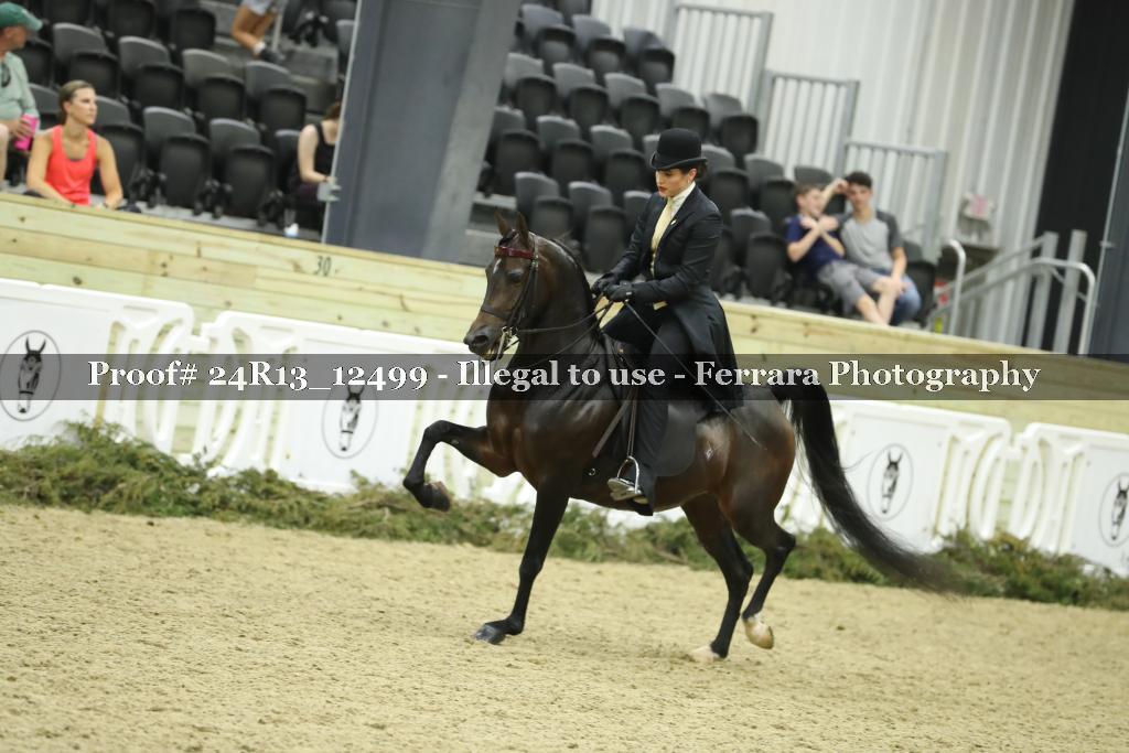 Proof 24R13_12499