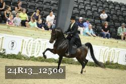 24R13_12500 proof