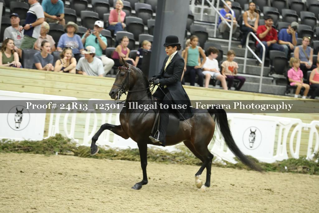 Proof 24R13_12501