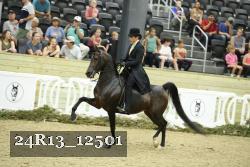 24R13_12501 proof