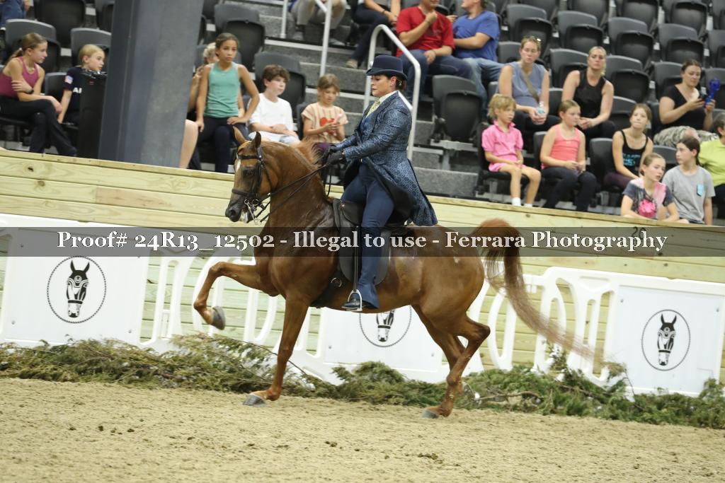 Proof 24R13_12502
