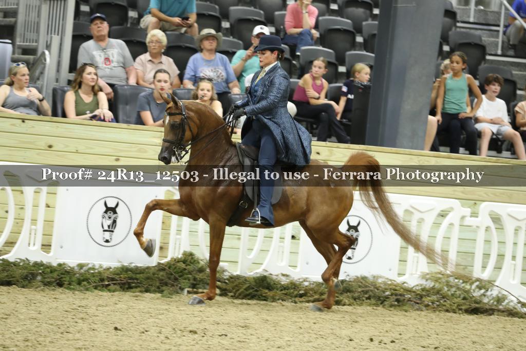 Proof 24R13_12503