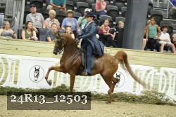 24R13_12503 proof