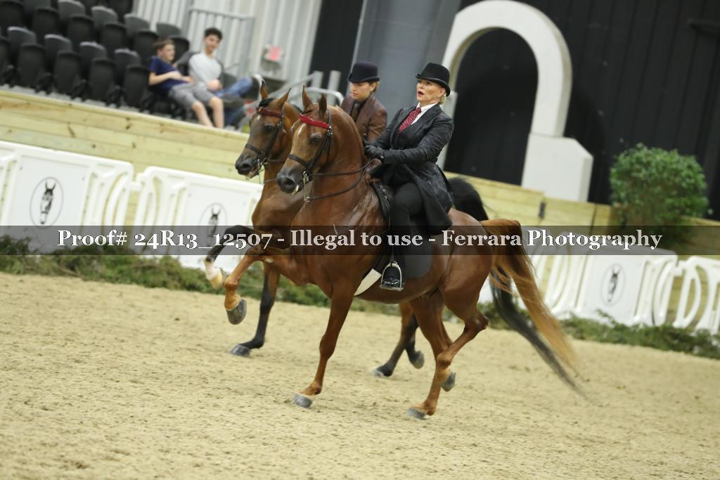 Proof 24R13_12507