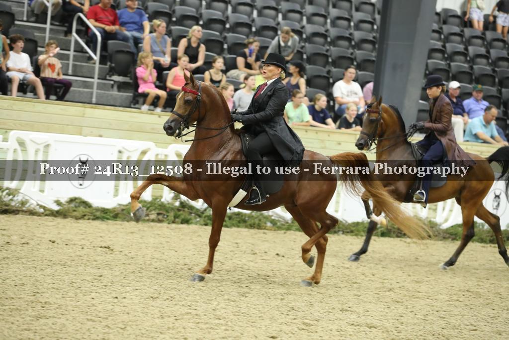 Proof 24R13_12508