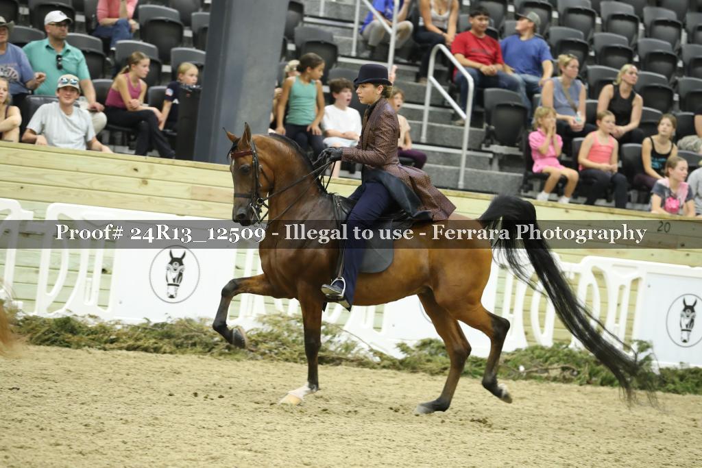 Proof 24R13_12509