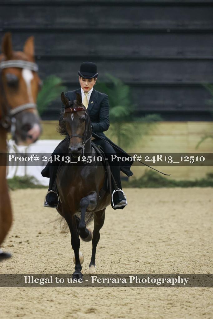 Proof 24R13_12510