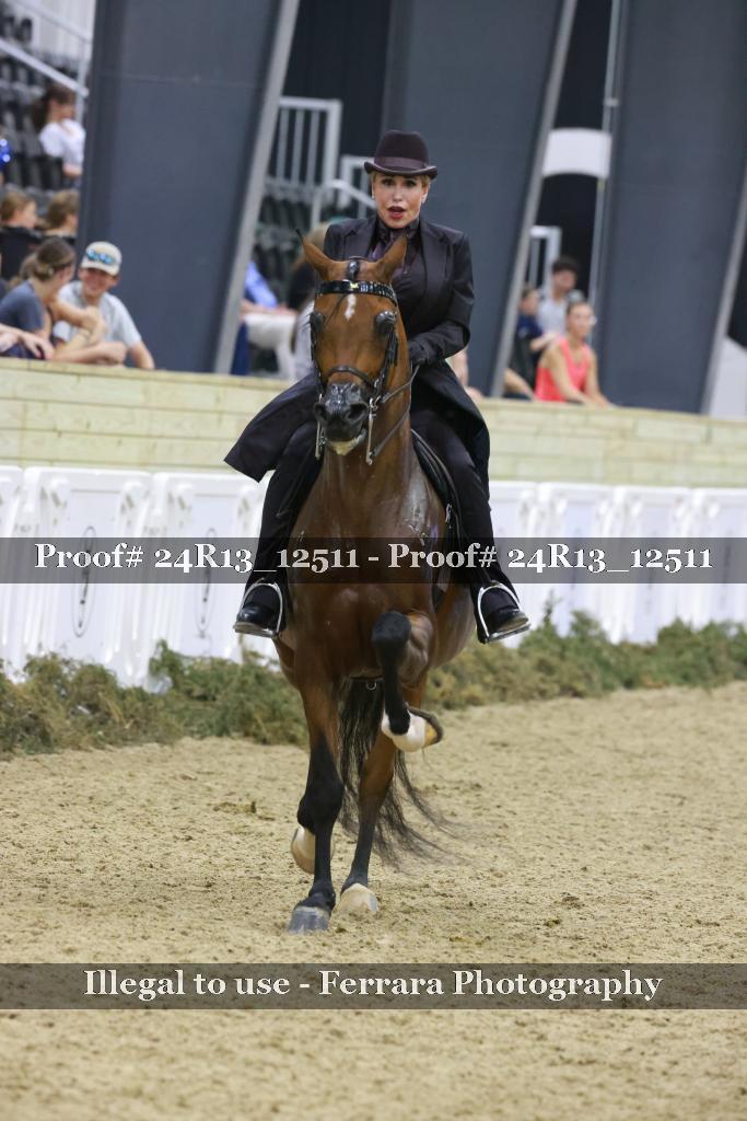 Proof 24R13_12511