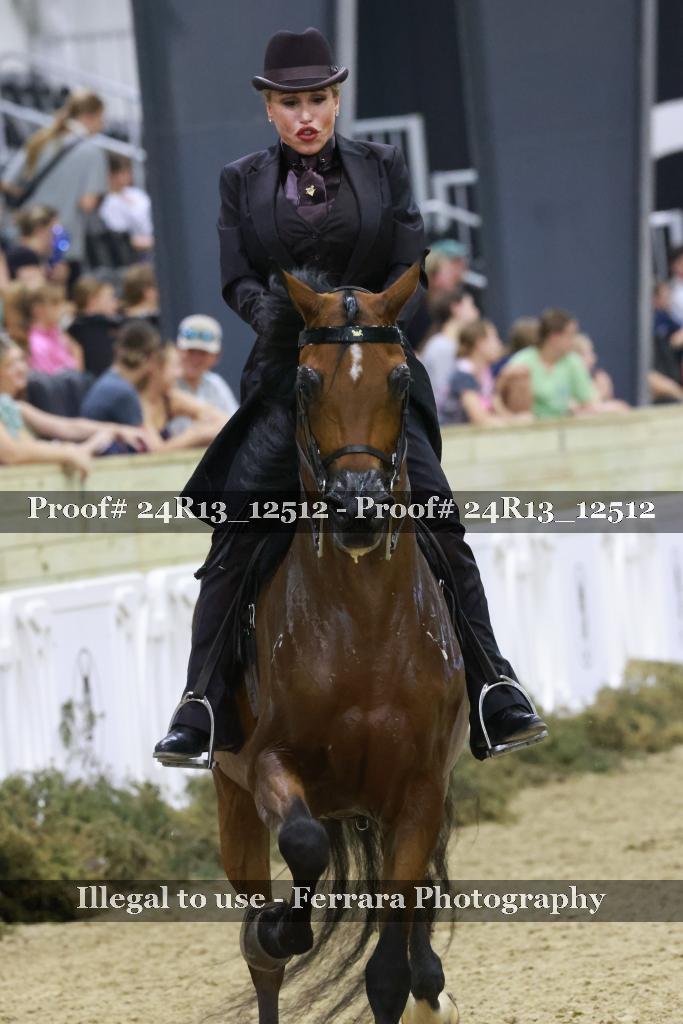 Proof 24R13_12512