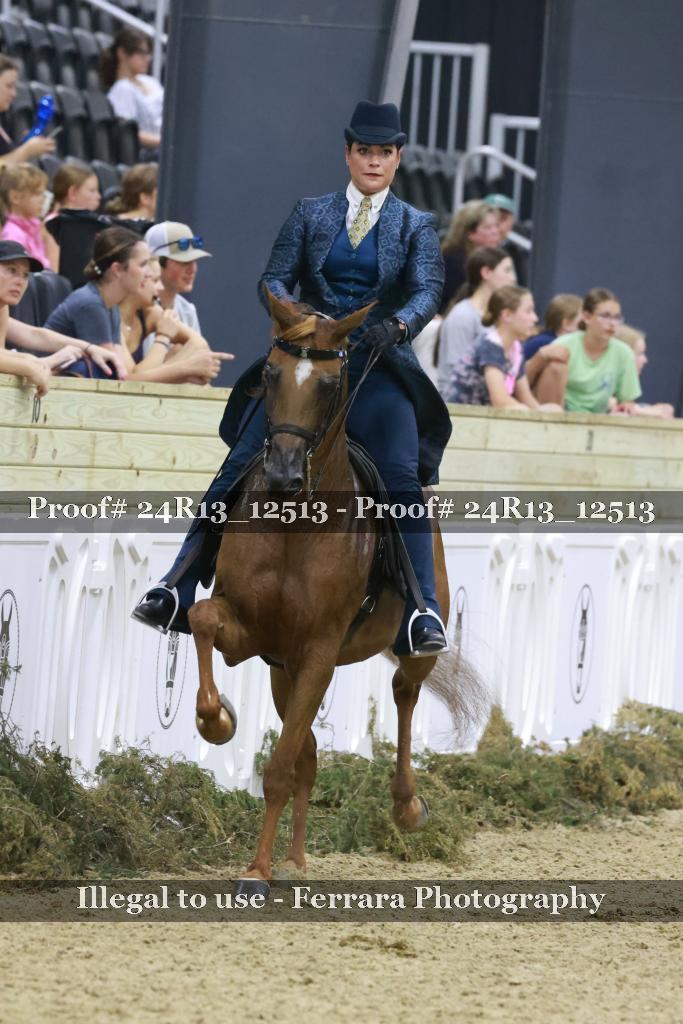 Proof 24R13_12513
